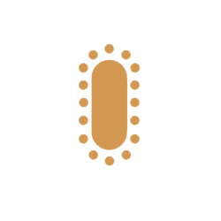 maximum Occoupancy image