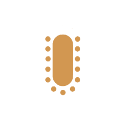 maximum Occoupancy image